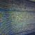 Biometrics Strengthen Security in Passwordless Authentication